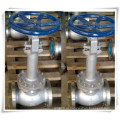 Classe 300lb 2 &quot;aço inoxidável Extended Bonnet Globe Valve (-50Degc)